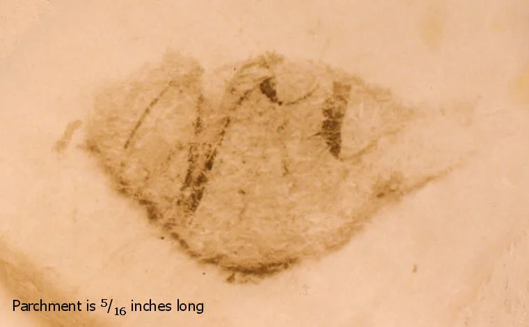 A tiny scrap of parchment, about five-sixteenths of an inch long, marked with faint ink strokes.