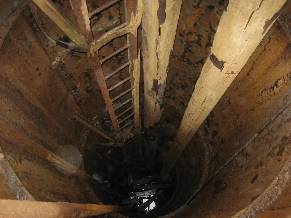 Looking straight down a timber-lined shaft, a ladder descending into black water.